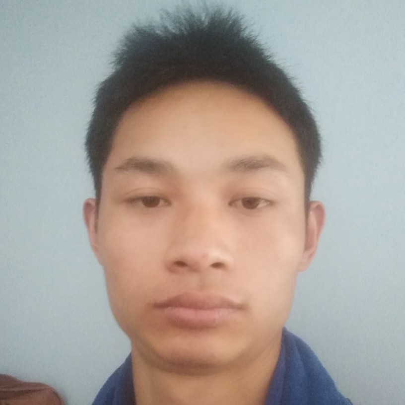 单身大雁猎鹰的照片