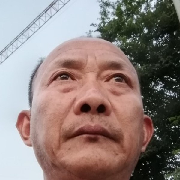 受伤回眸板凳的照片