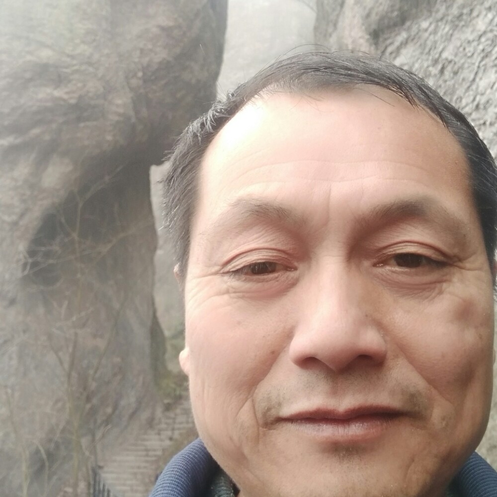 典雅大门的照片