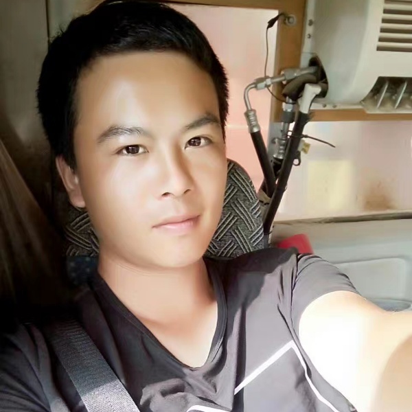 飞不高的照片