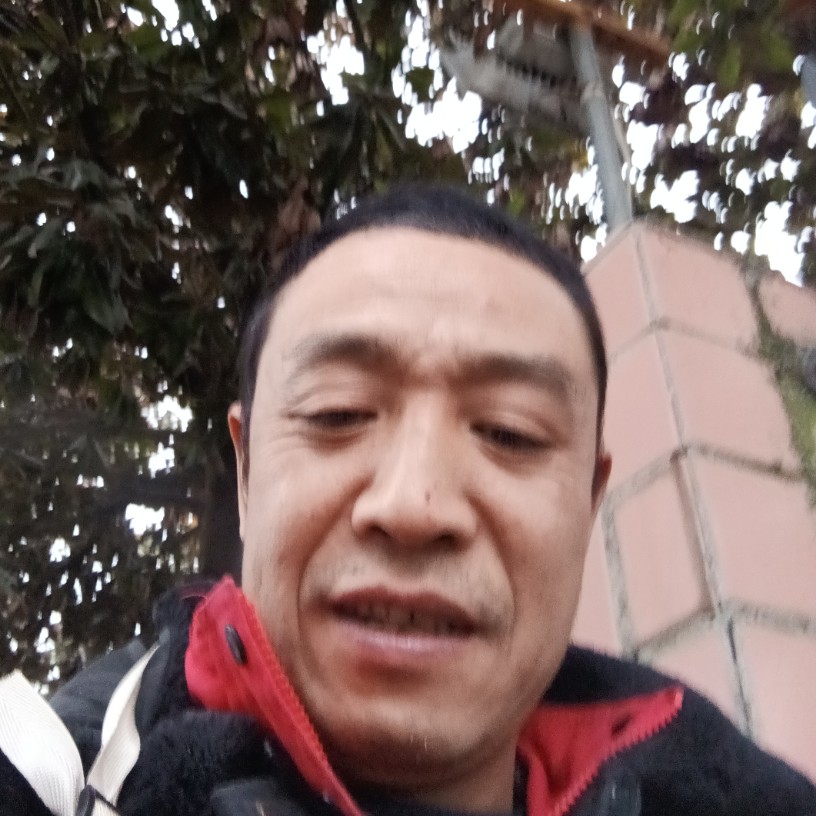衬衫回首动听的照片
