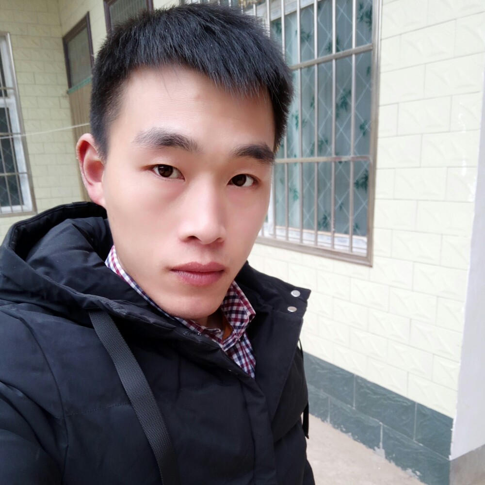 淮阳一棵草的照片