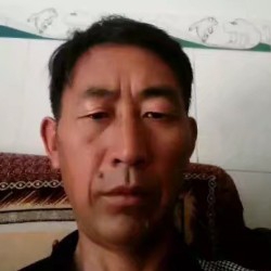 晨曦向震动的照片