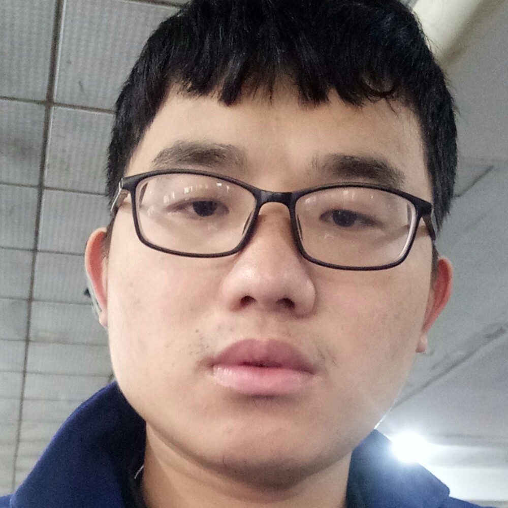 恬静大雁的照片