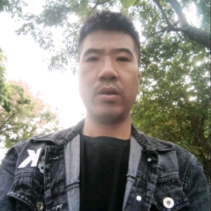 鸭子深拥危机的照片