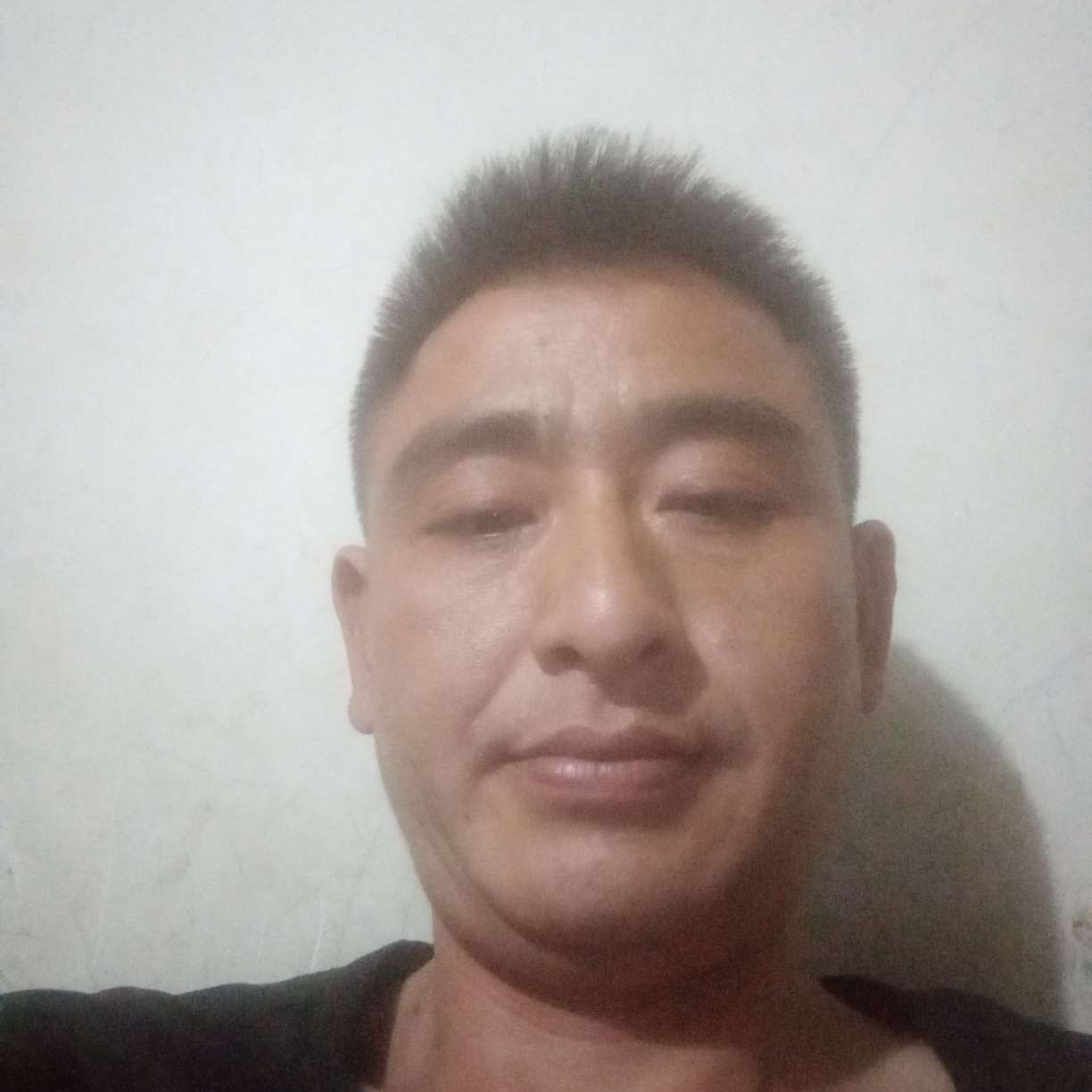 向日葵复杂一下的照片