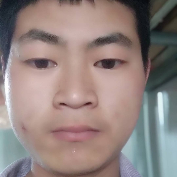 聪明就小白菜的照片