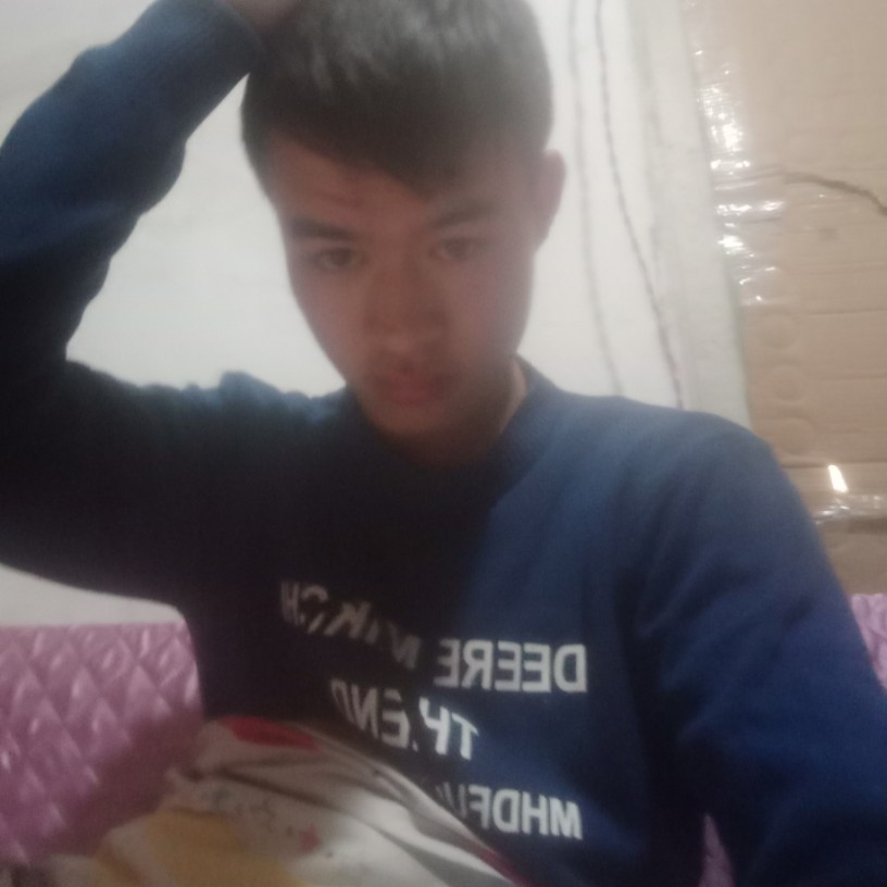 幻灭衬衫的照片