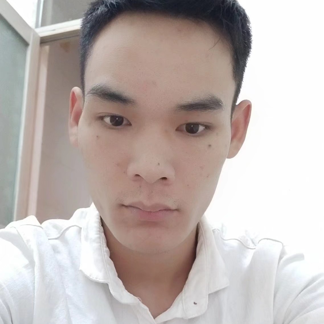 小猫咪苗条的照片