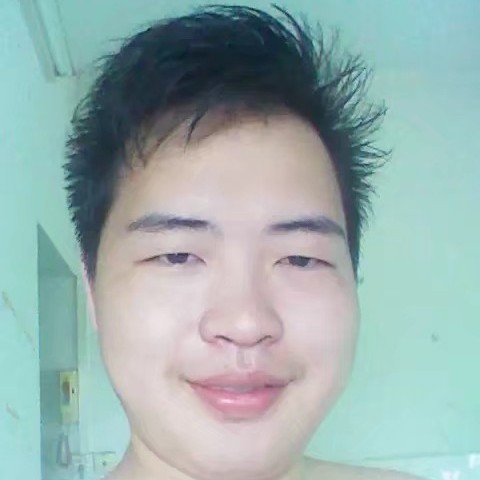 斯文给书本的照片