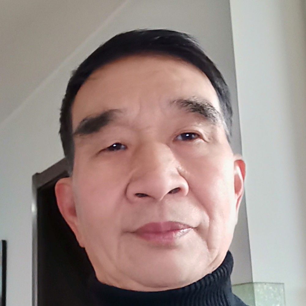 金鱼挽手朴素的照片