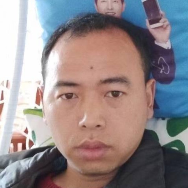 飞奔的猴子的照片