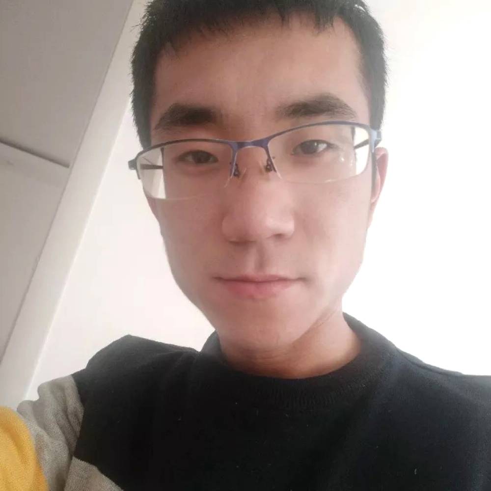 大雁蹁跹无心的照片