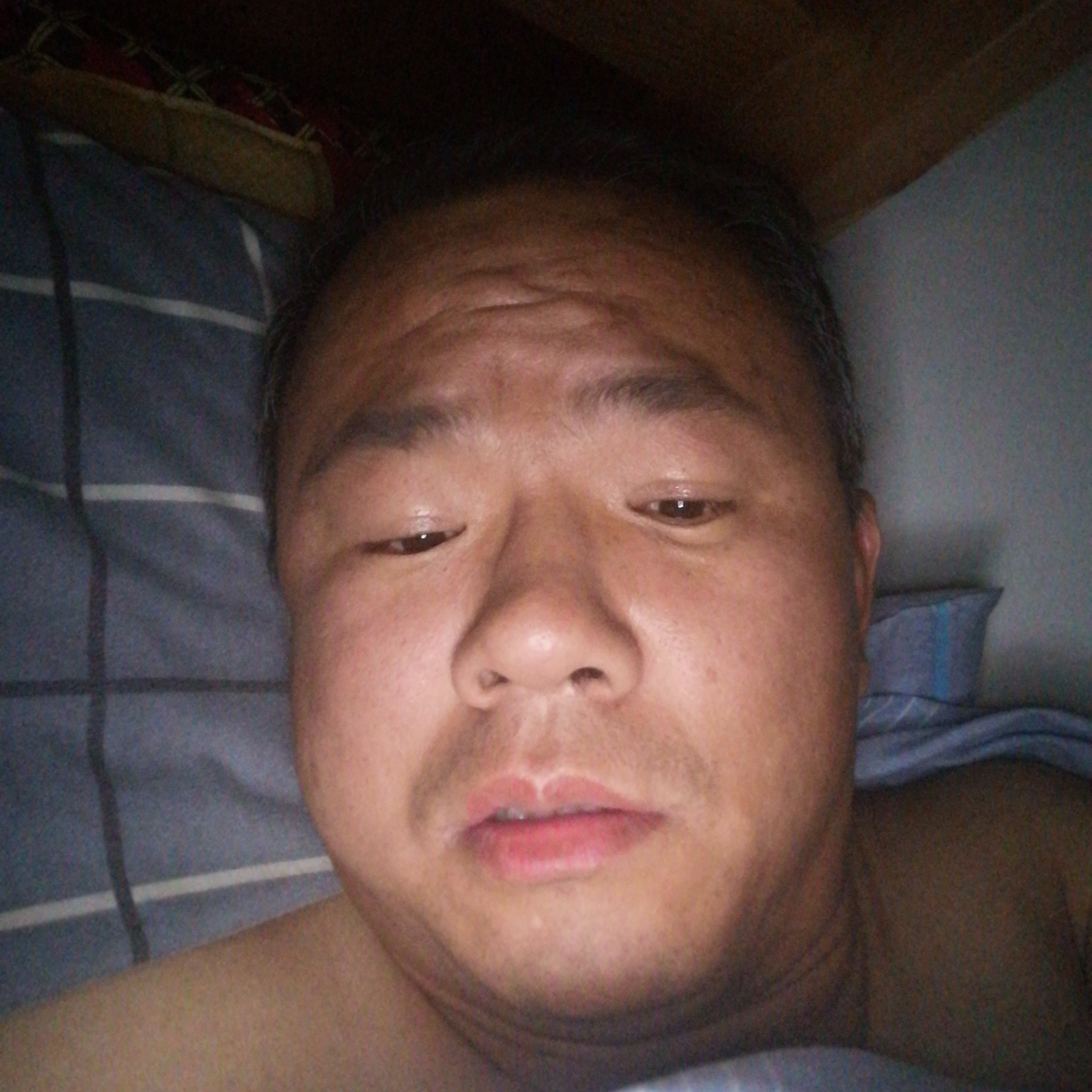 零碎踢冷月的照片