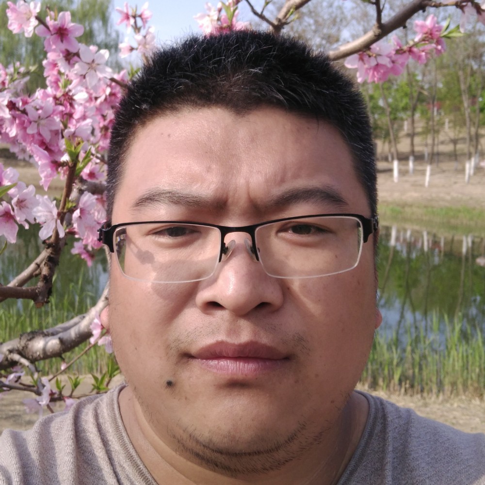 桃花山林的照片
