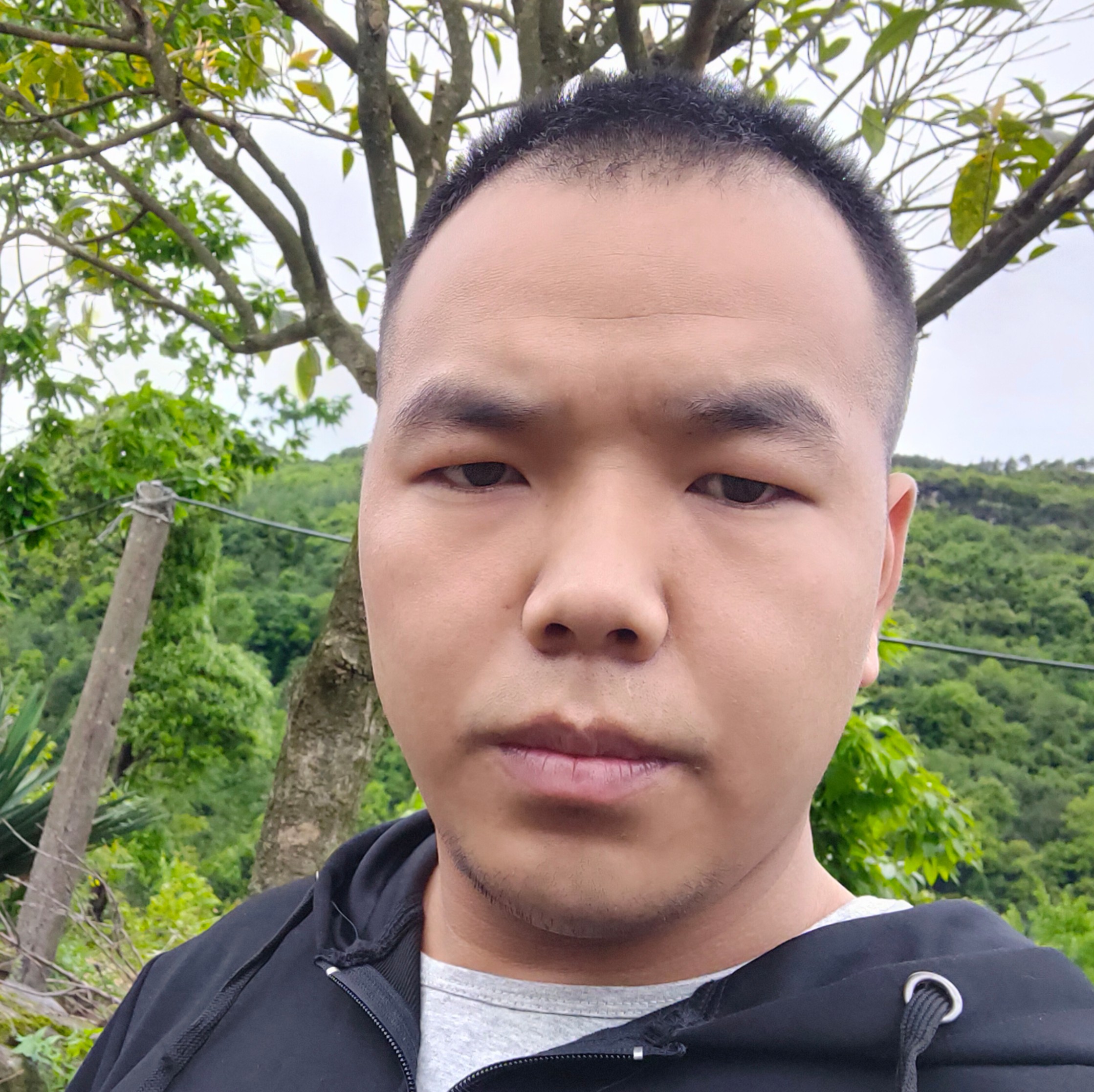 无  语了的照片