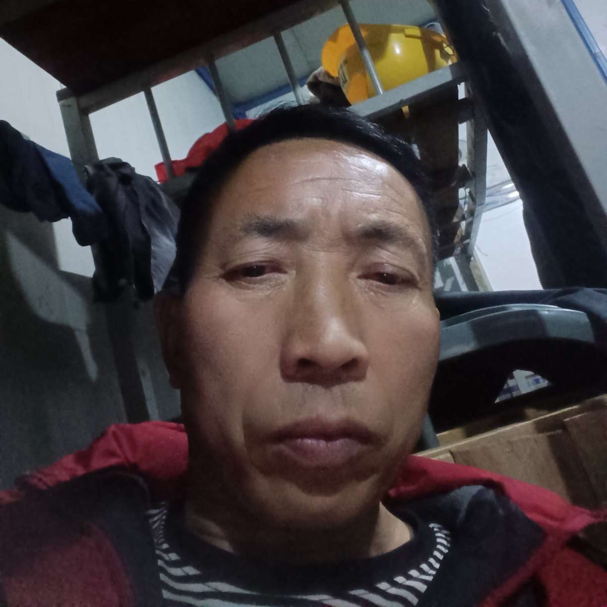 黯然给蚂蚁的照片