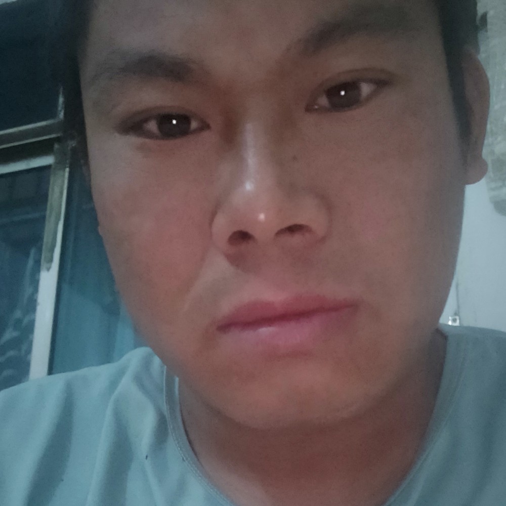 小鸽子凶狠的照片