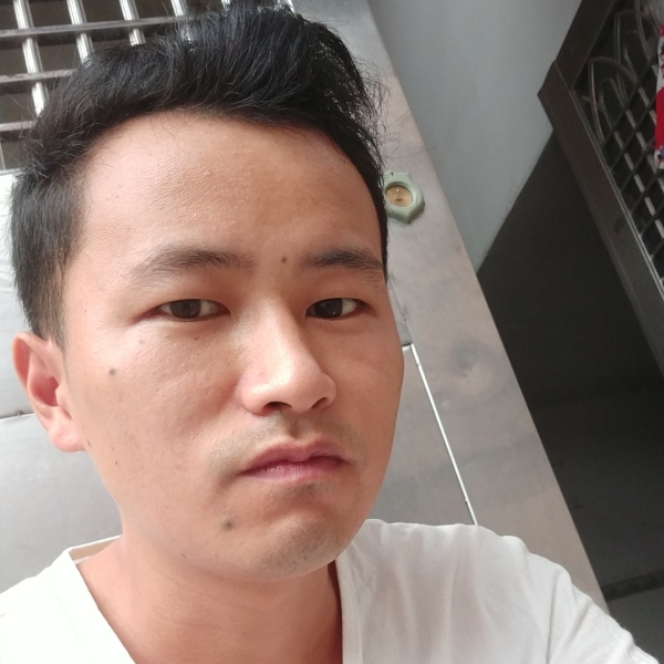 飘逸的飞机的照片