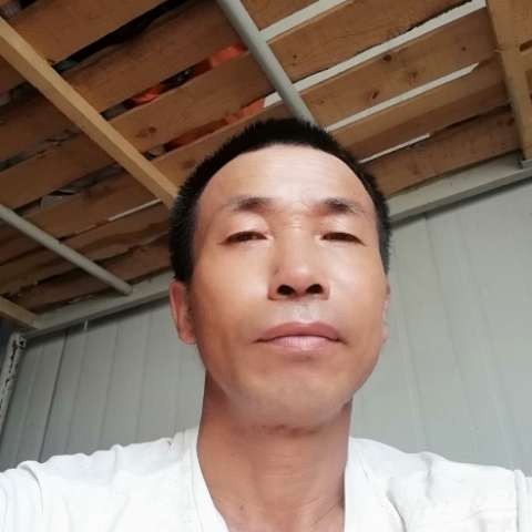 大方的玫瑰的照片