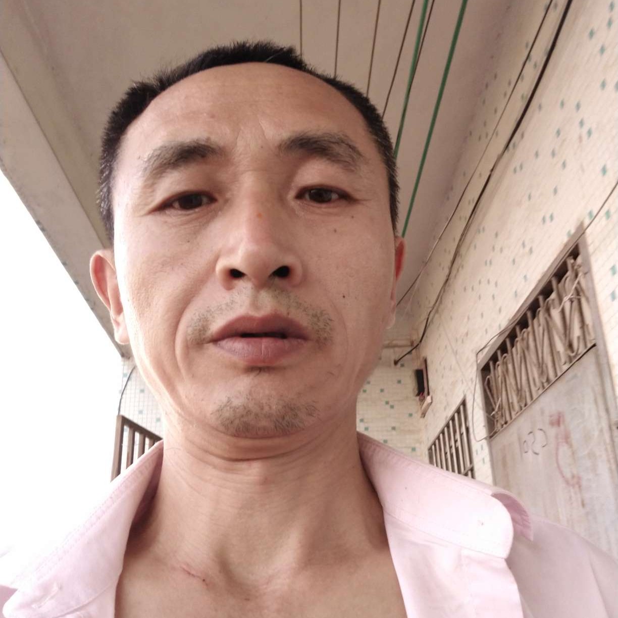 青花无聊的照片
