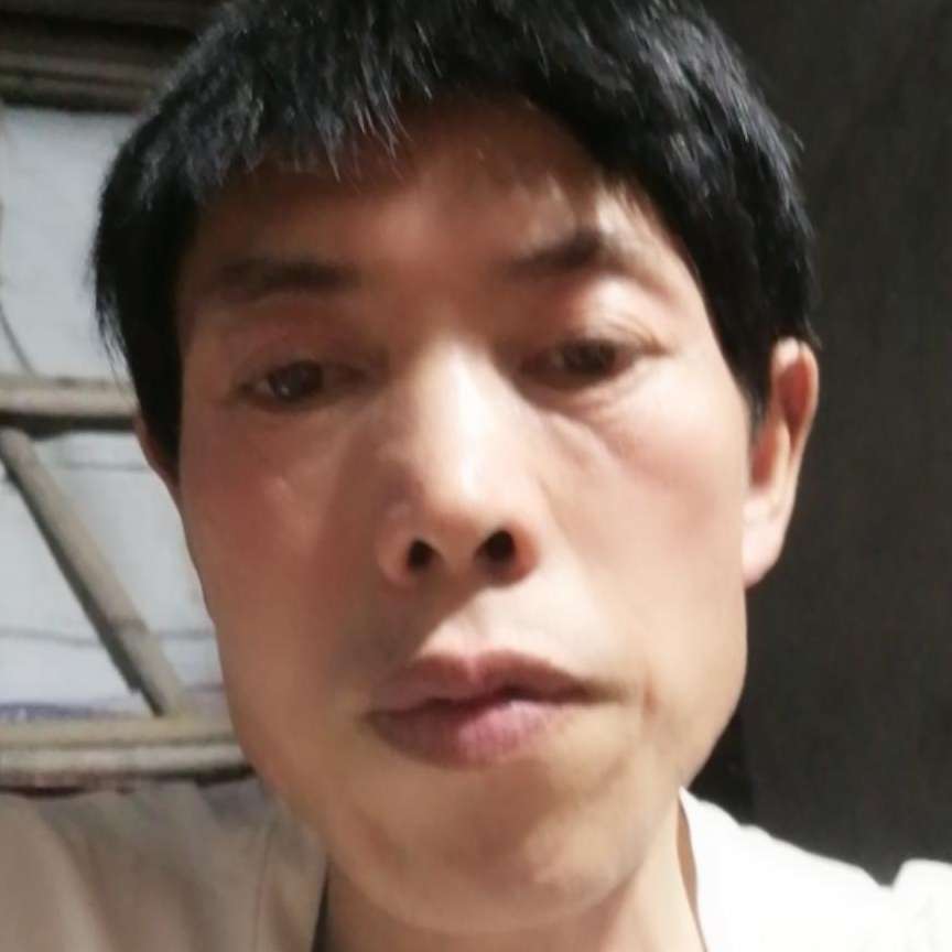 翩飞有舒荷的照片