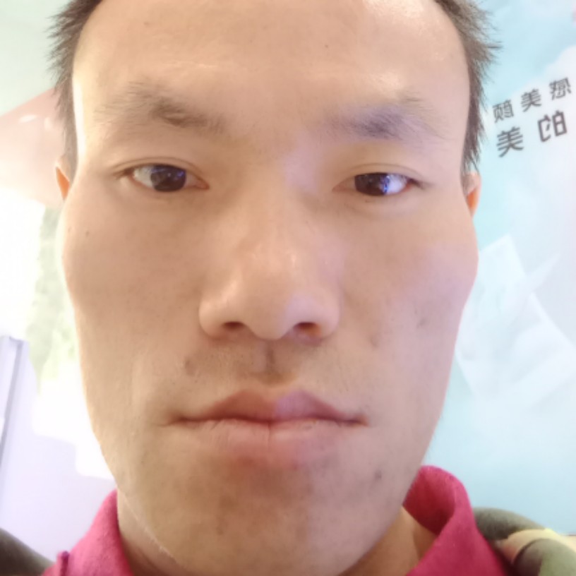 务实秋颜小麻雀的照片