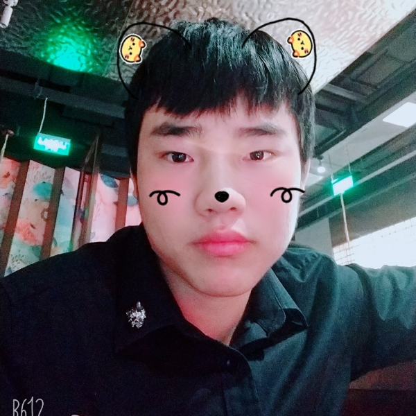 老鼠伶俐的照片