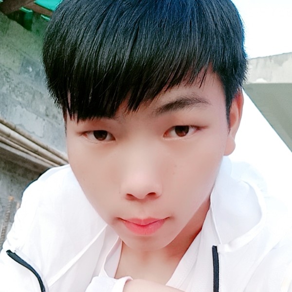 长颈鹿放弃积极的照片
