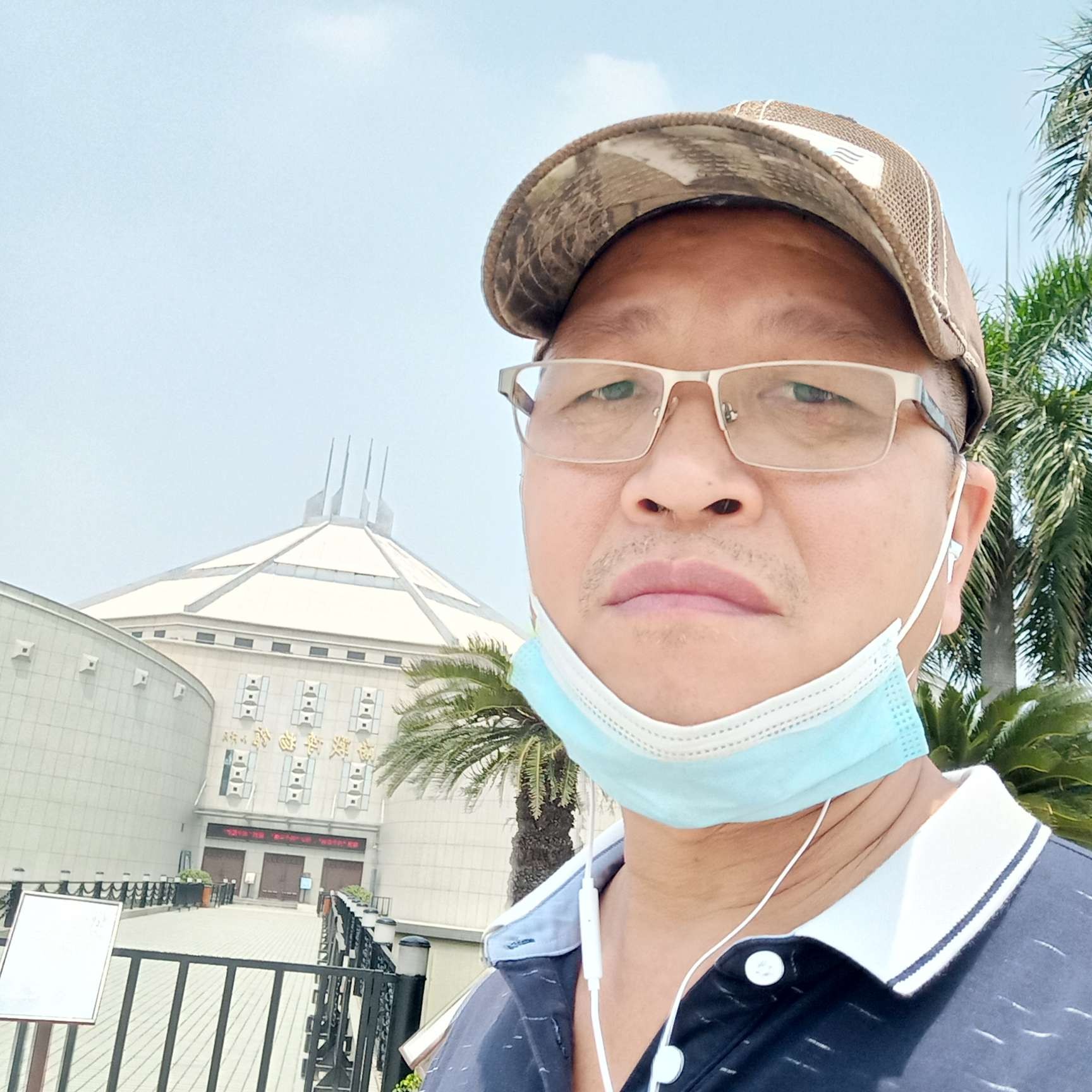 阳光深拥红玫瑰的照片