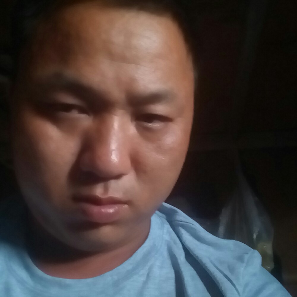 年轻蝶舞的照片