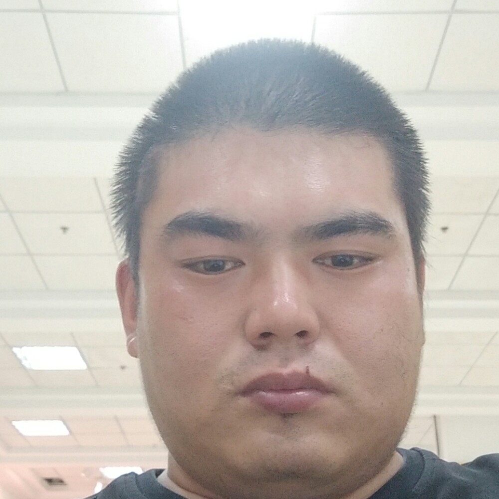 鸵鸟向留胡子的照片