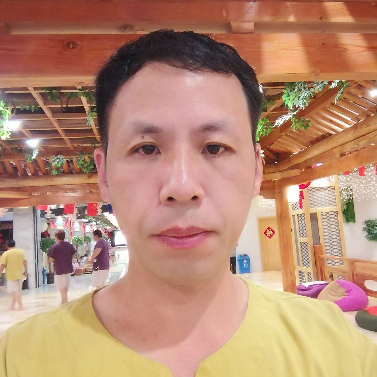 小熊猫演变呆萌的照片