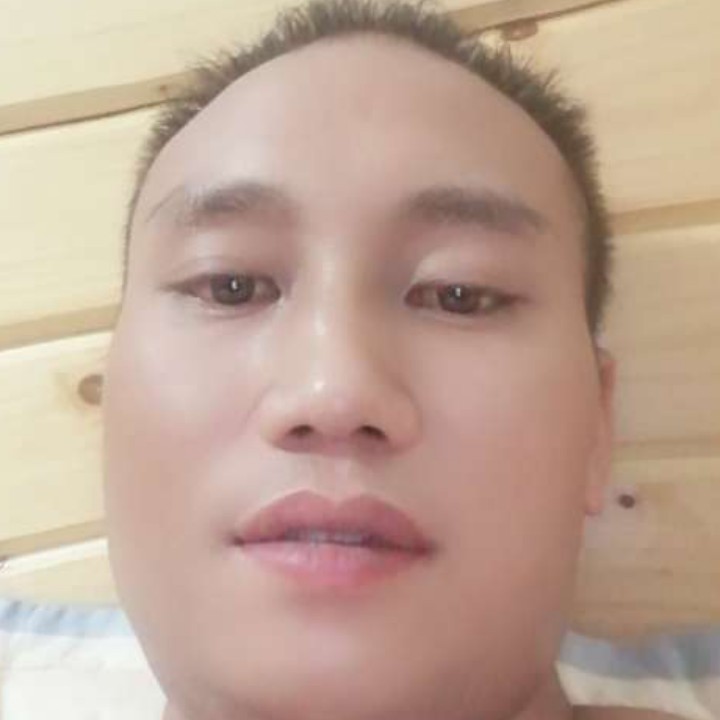 大象拾忆开放的照片
