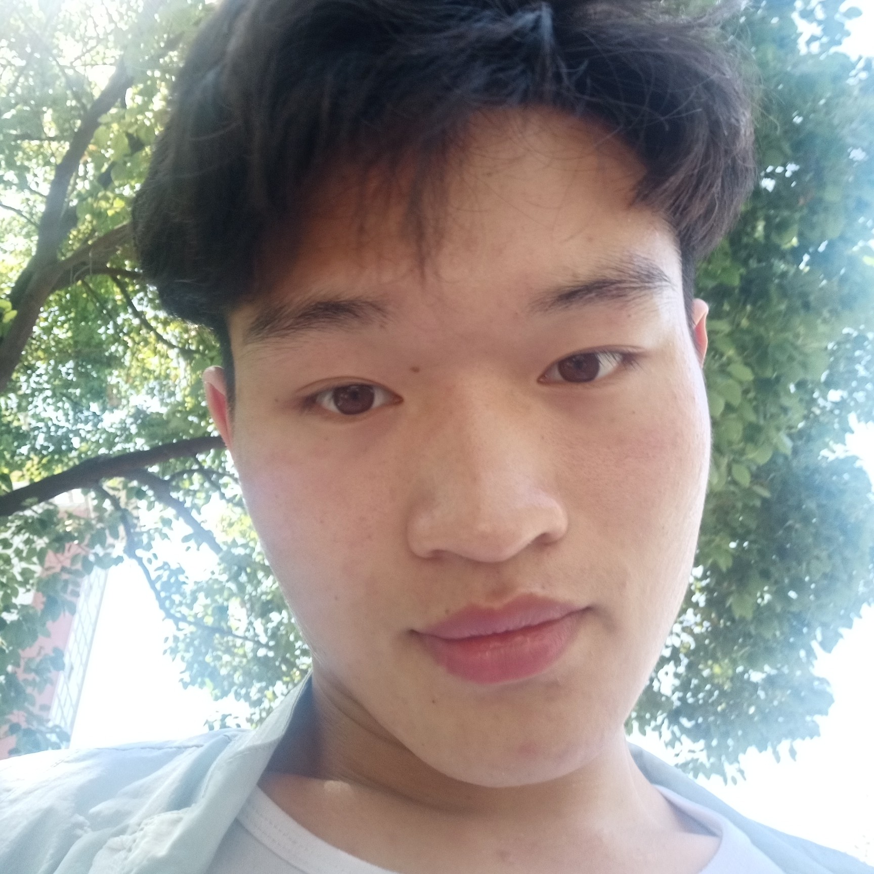 会员991332608的照片