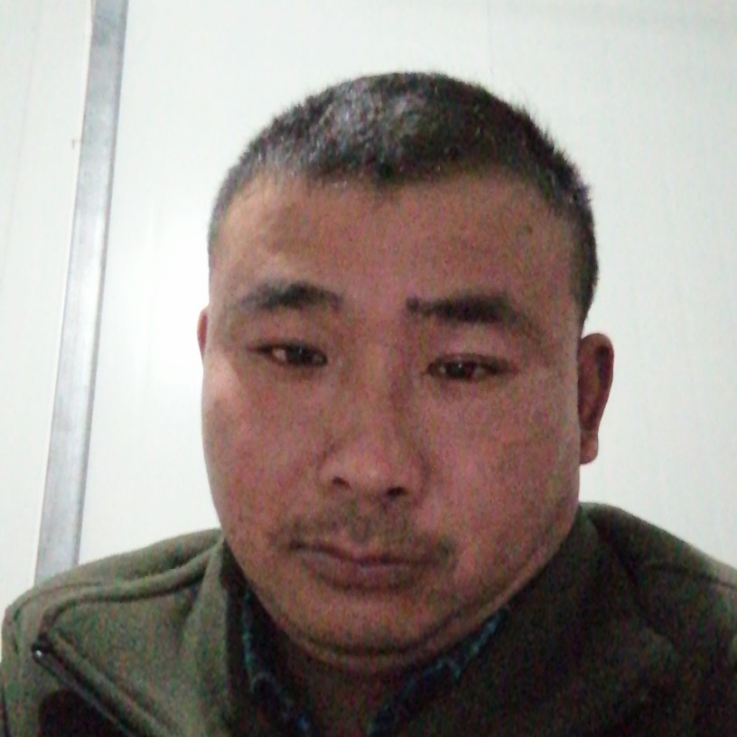 不诚非扰的照片