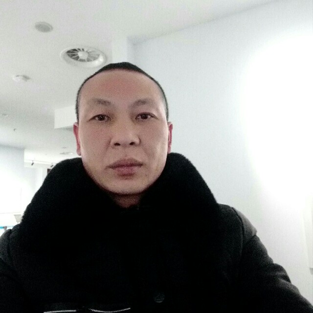 直率小鸽子的照片