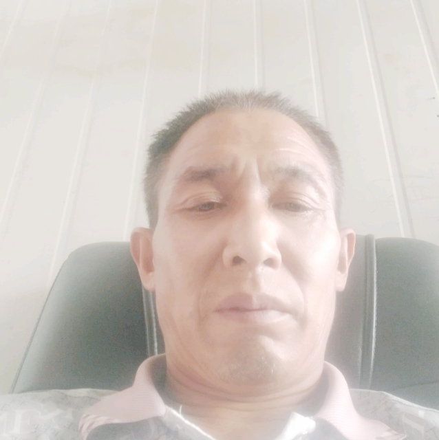 娇气笑小天鹅的照片
