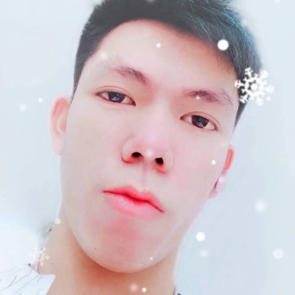 傻傻有太阳的照片