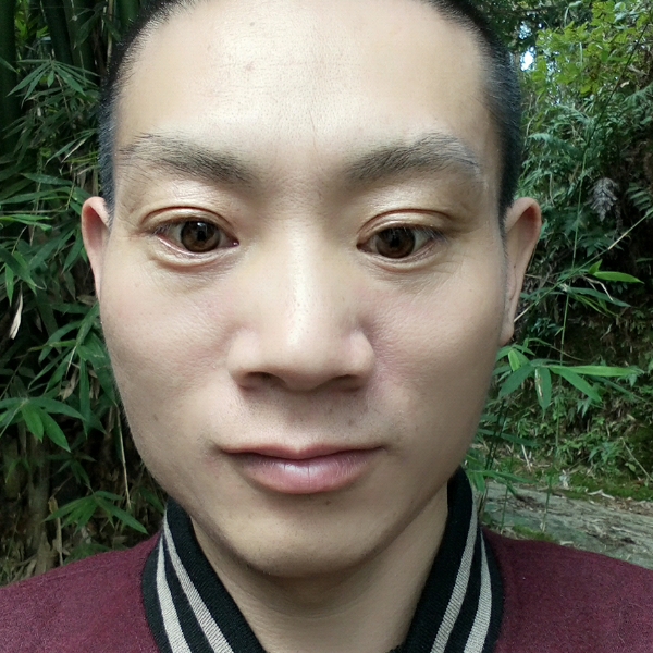 天真那路灯的照片