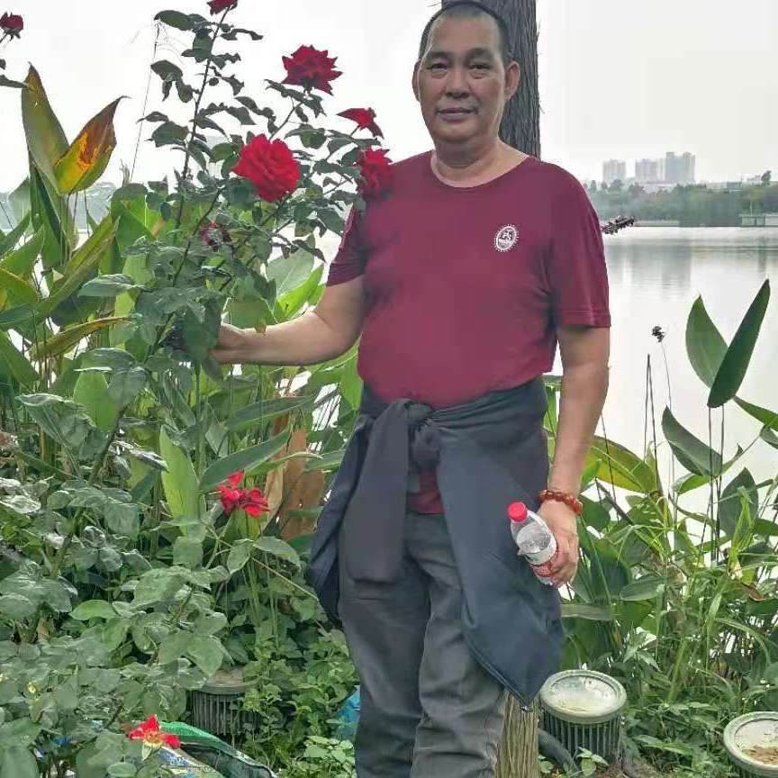 不解的的龙猫的照片