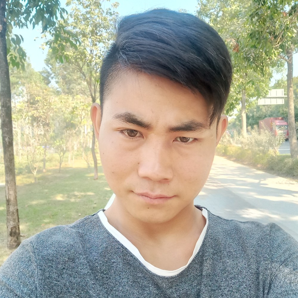 鸡不听话的的照片
