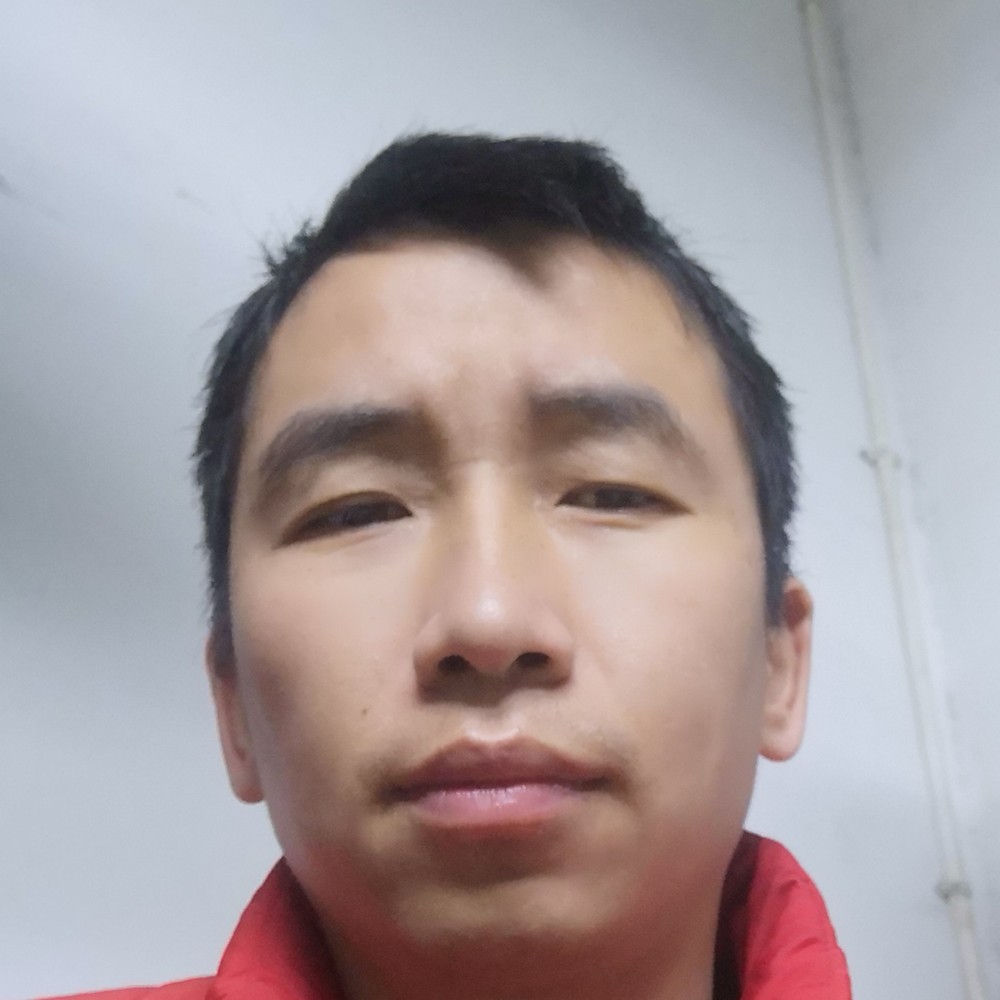 蚂蚁与长情的照片
