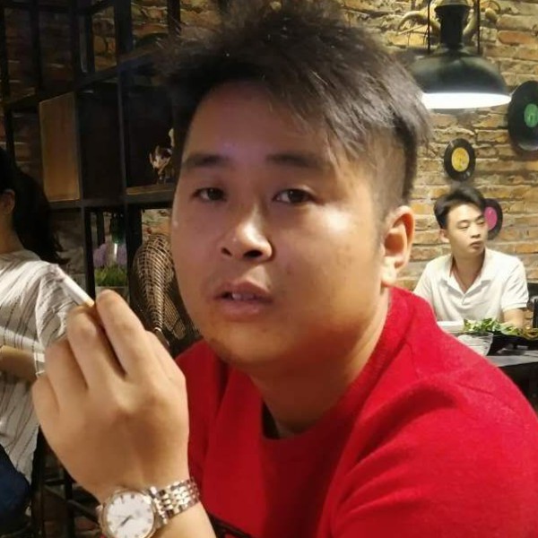 矮小河马的照片