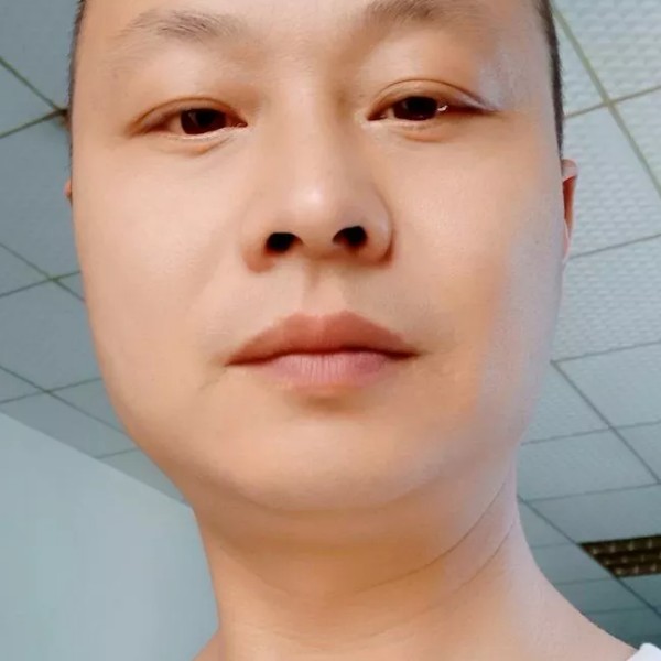 南鸢回首曾经的照片