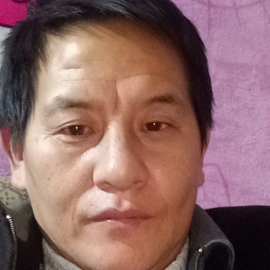 紫菜深拥善良的照片
