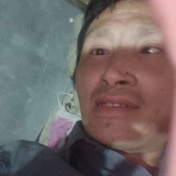 手链踢鲤鱼的照片