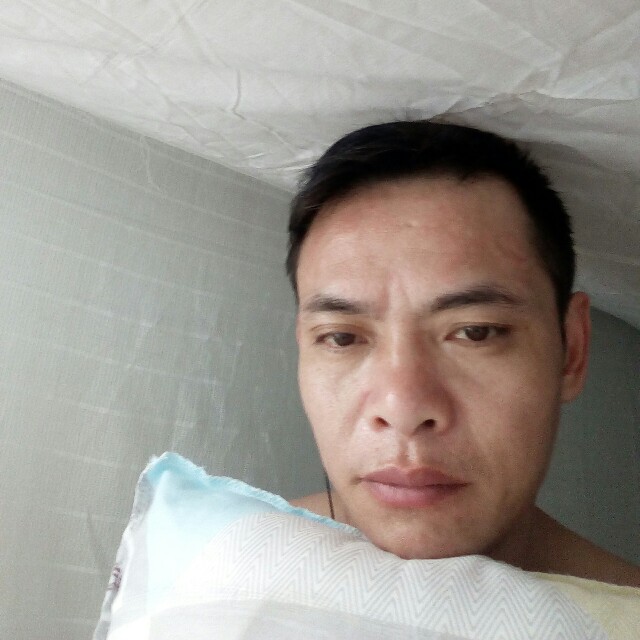 仙人掌满意的照片