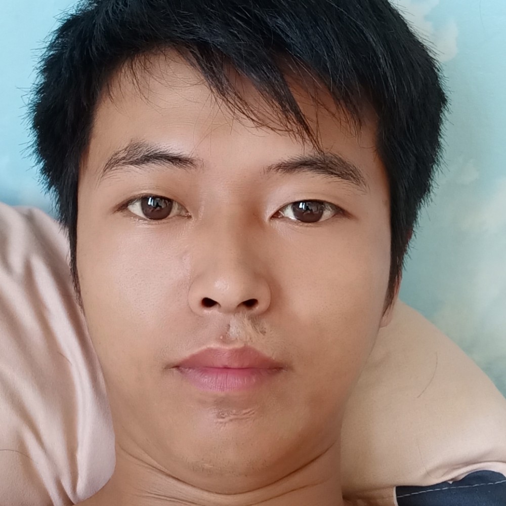 大象的靓丽的照片