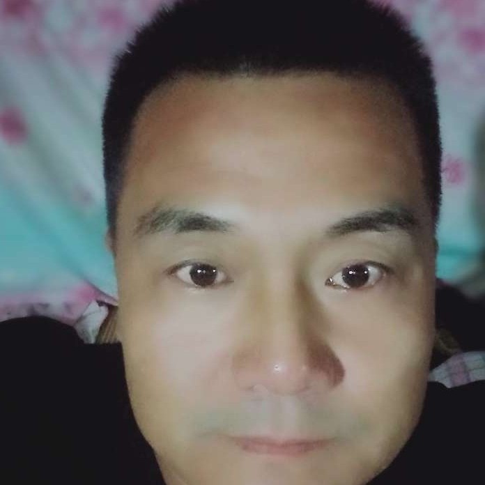 飞鸟的怕孤独的照片